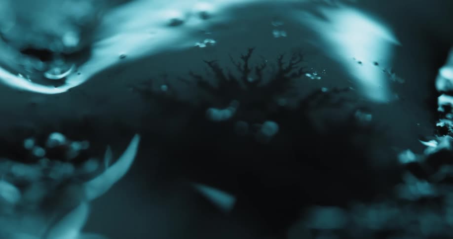 Something is growing inside the clear gel
