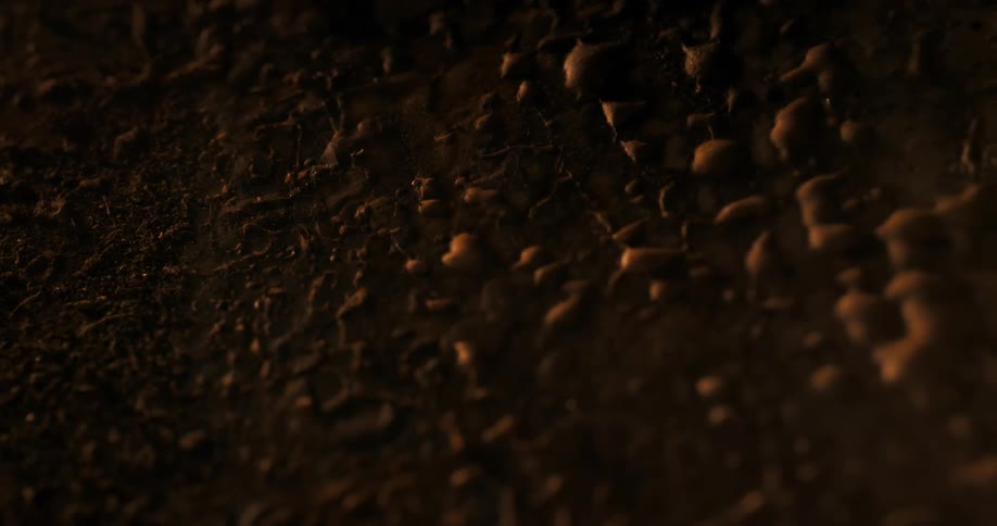 The light slowly illuminates the dirt
