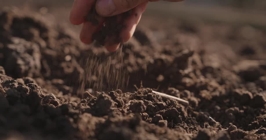 A man lifts the dirt and pinches it with his fingers