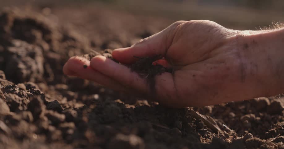 A man picks up a handful of dirt