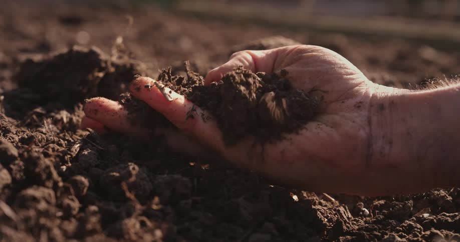 A person picks and grinds soil in their palm during the day