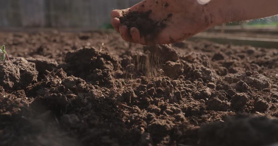 Closeup of a hand crushing and pouring soil during the day