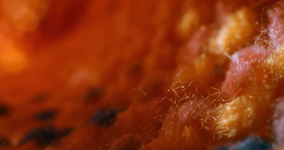 A tightly framed macro shot shows an orange carpet slowly rotating with individual fibers shifting under soft directional lighting that highlights the surfaces dense texture and subtle movement