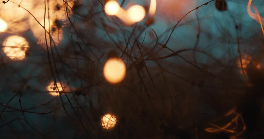 A closeup footage of a light reflection
