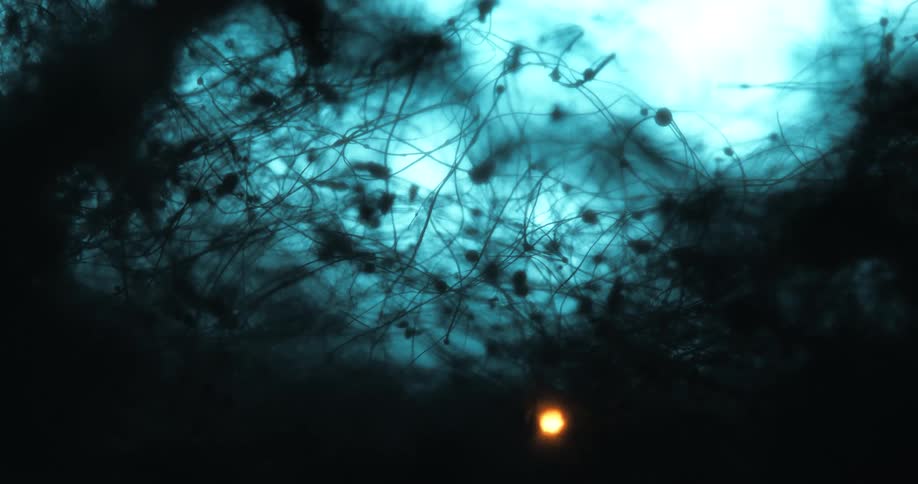 A footage of a dark background and light reflection