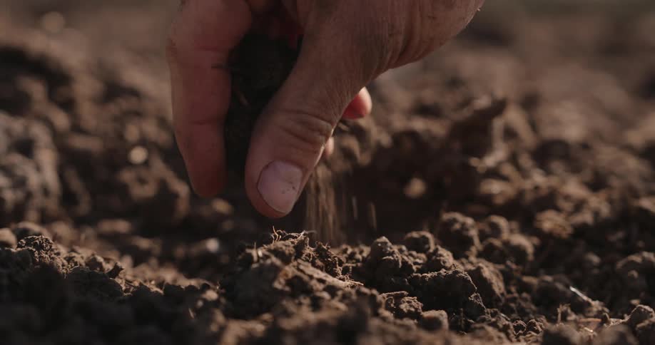 Closeup hand of a man feeling the soil texture on a sunny day