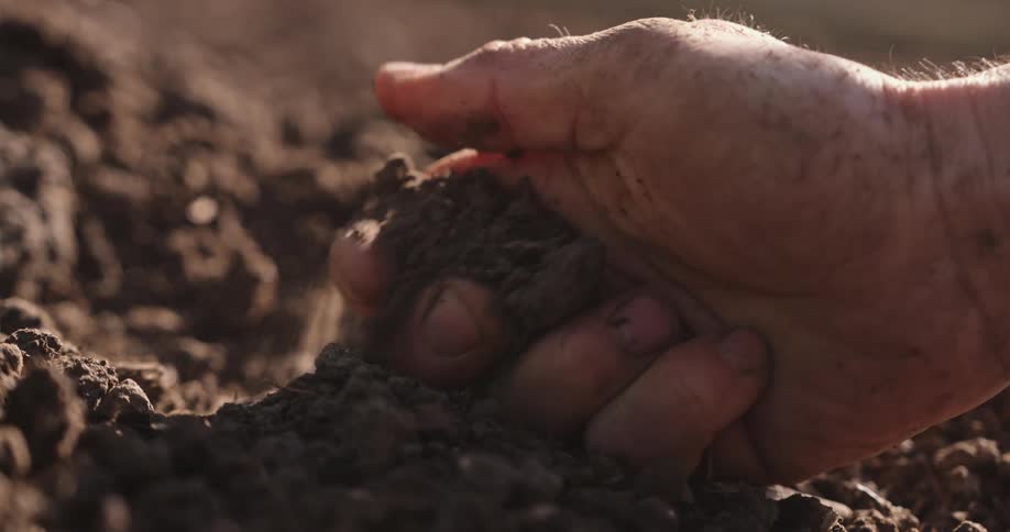 The man grabs a handful of dirt