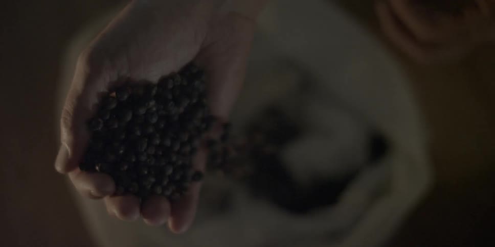 Person pouring seeds into a bag