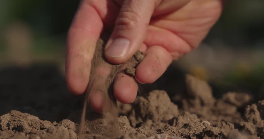 A man pinches the soil while slowly dropping it