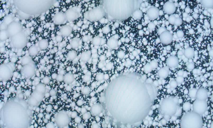This clip shows a highly magnified view of spherical particles densely packed together creating an abstract and textured visual