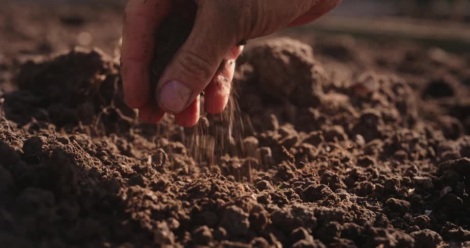 Person sifting clumbs of soil with their fingers