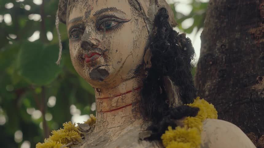 Close up of a feminine statue placed beside a tree trunk in day time