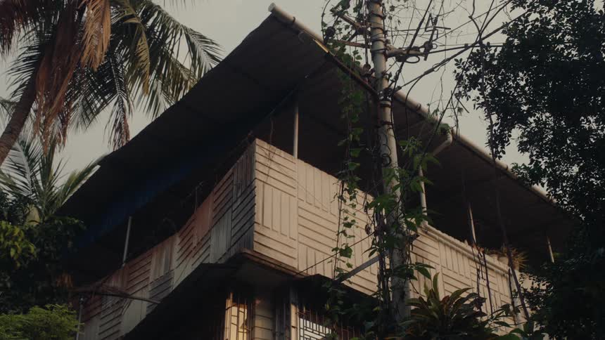A twostory house with trees beside it and an electric pole in front covered with branches and leaves