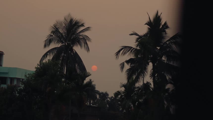Silhouette of tropical trees and the red sun on the horizon