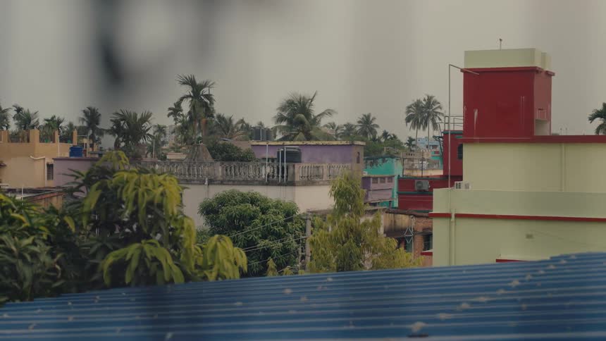 Palm trees are near the buildings in the tropical town