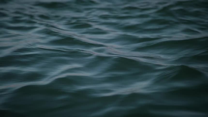 A closeup shot of rippling water on a lake or sea with no visible people or background elements