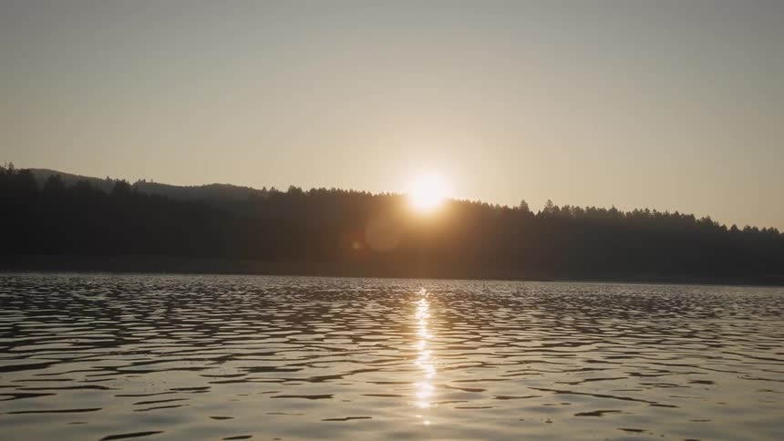 Sun rises over the trees in a waterside forest