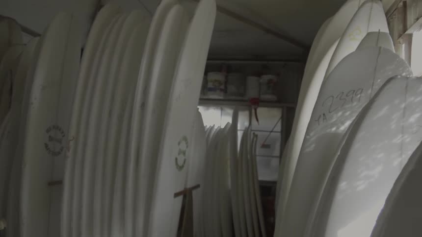 Unpainted surfboards in many sizes line the inside of a shop during the day