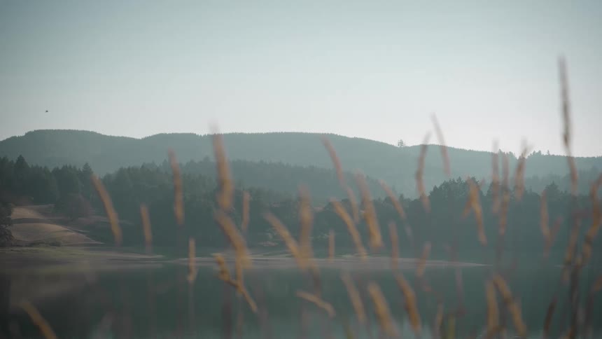 Plants in the foreground and in the background a lake surrounded by mountains