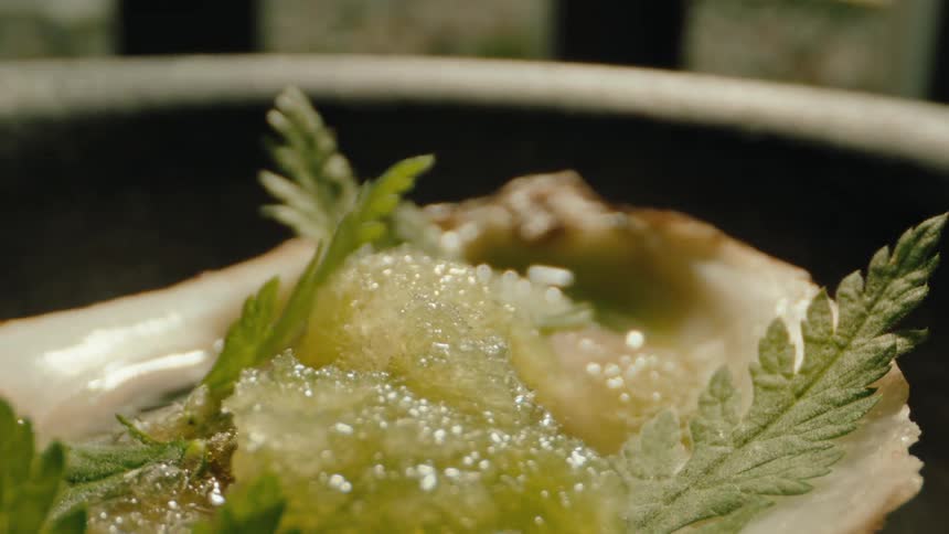 Close up of a presentation of a dish with herbs