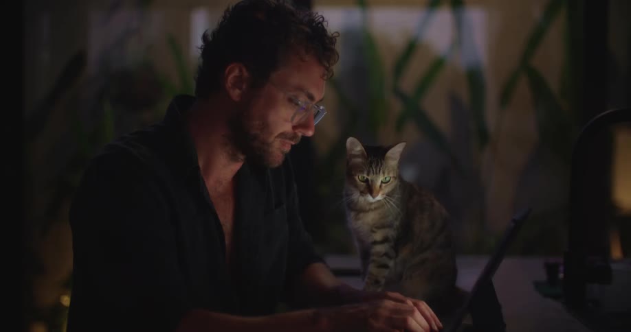 Man in glasses typing on a laptop in a dark room and a gray cat next to him