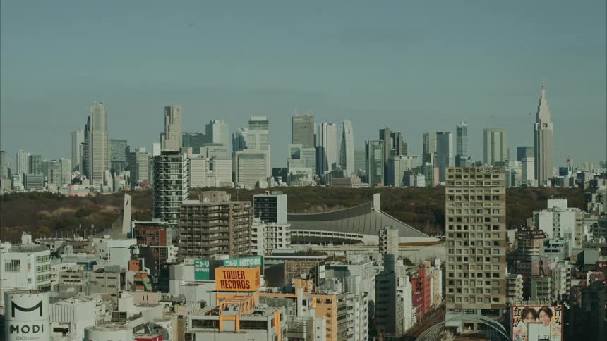 Panorama of a metropolis with modern buildings