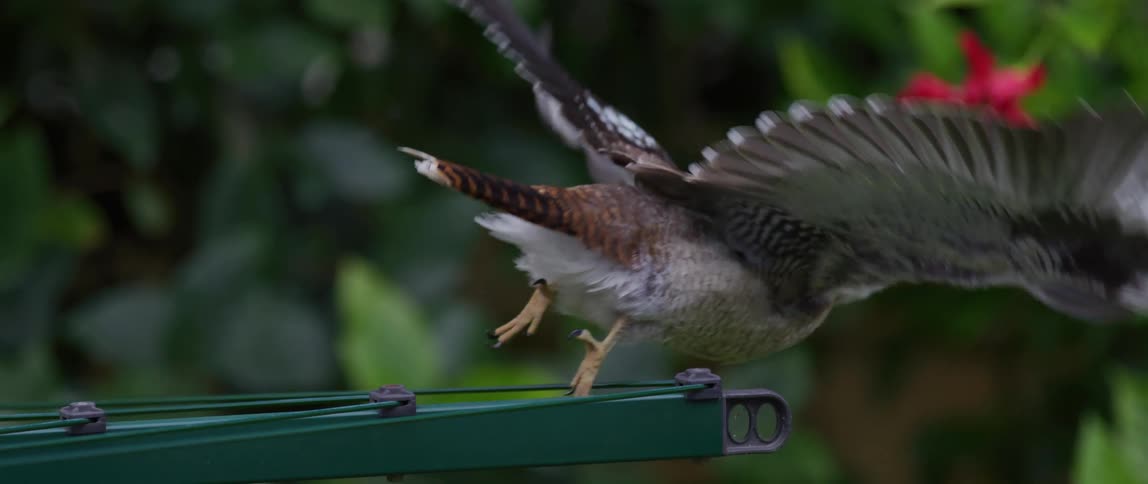 A bird flies away by the tree