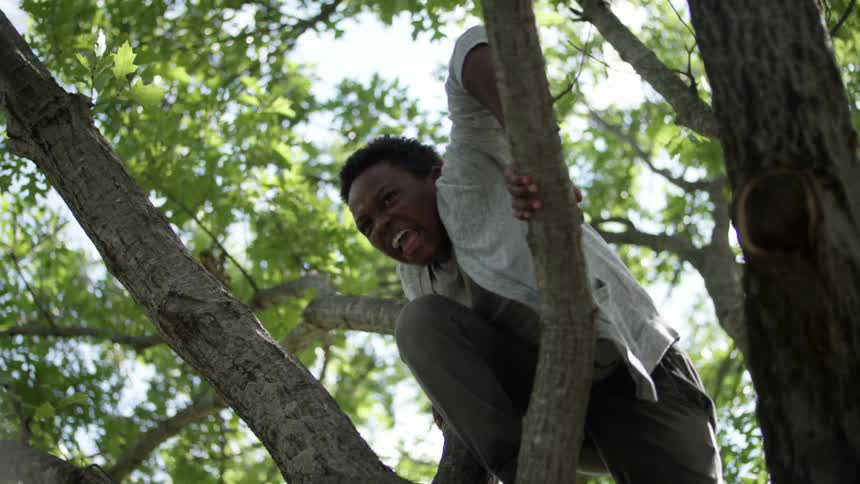 A boy is climbing up a tree