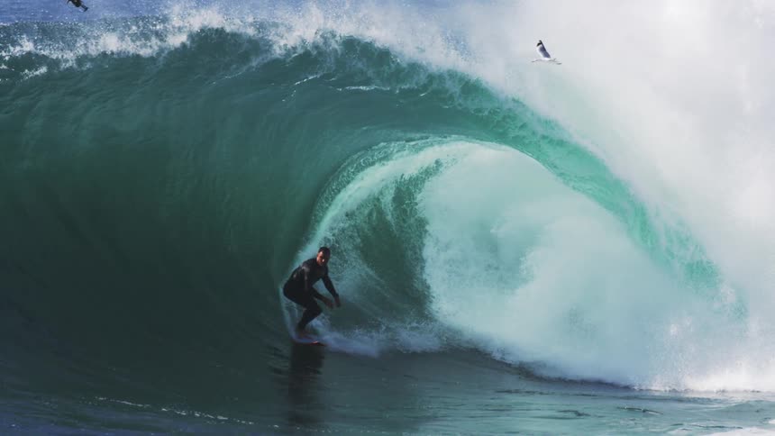 The bird flies over a man surfing