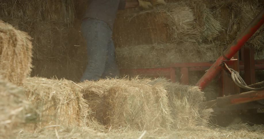 A man grabbing hay from a hay mound and throwing it on the ground