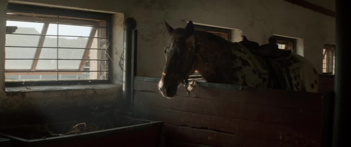 A saddled horse stands quietly in a dimly lit stable illuminated by soft natural light through barred windows