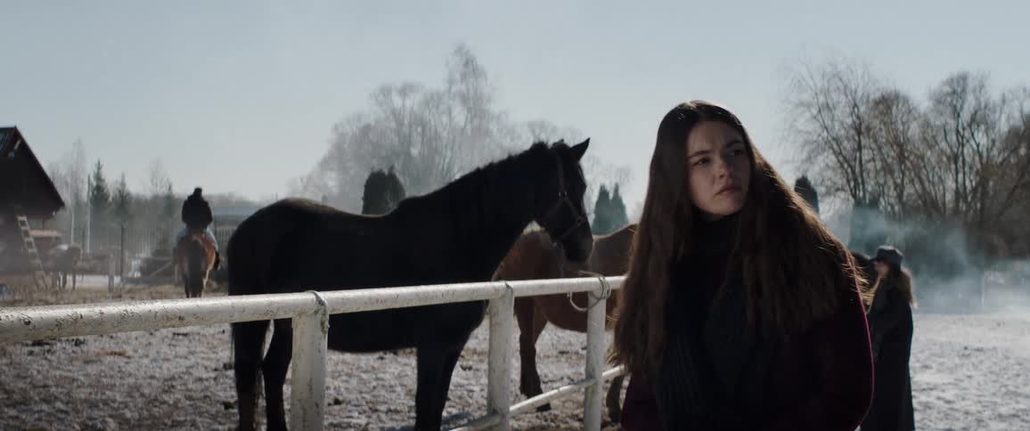 People visiting horses in an outdoor stable