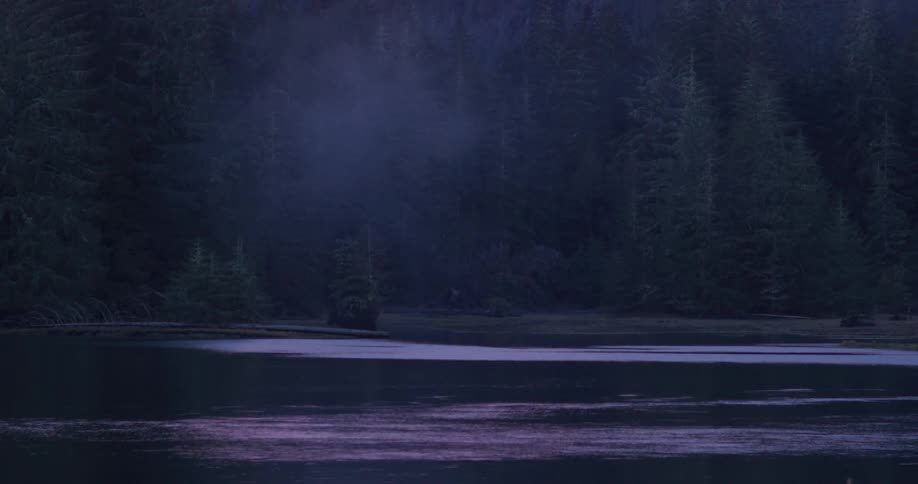 A misty dark forest borders a calm lake with faint light reflecting on the waters surface during dusk or dawn