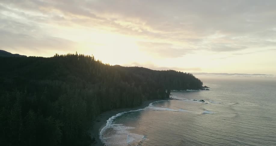 Aerial of ocean waves rolling into a forested peninsula at sunrise