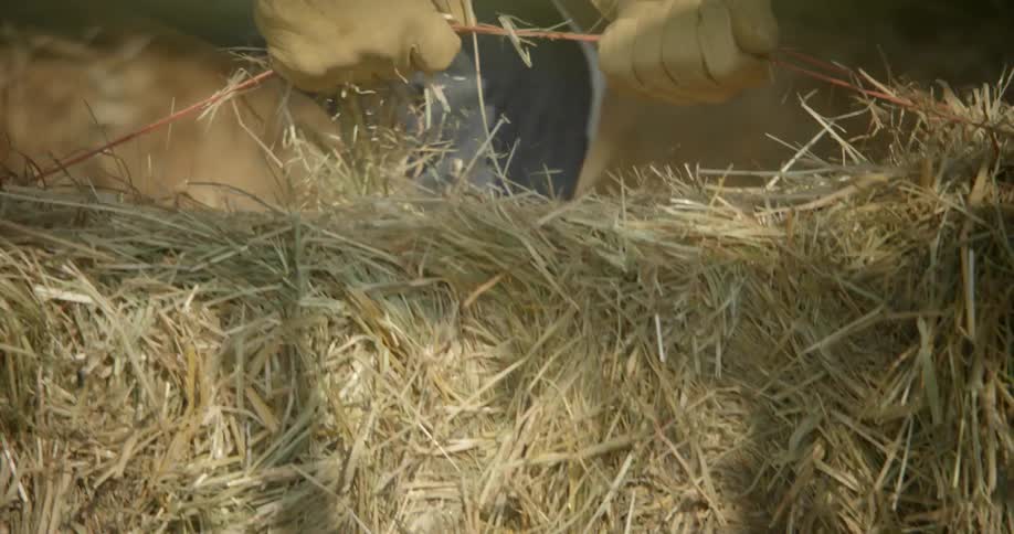 A person lifts a bale of hay