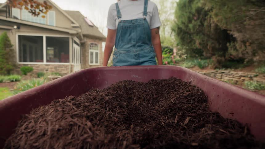 Person carrying a wheelbarrow of fertilizer through a yard