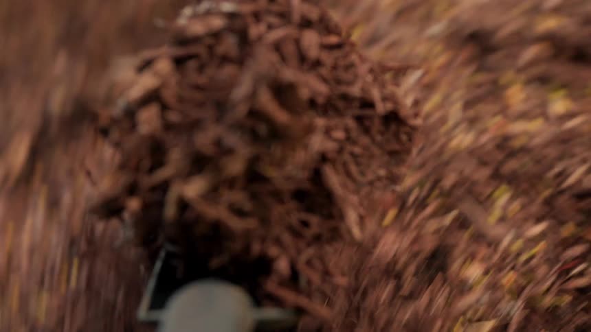 Point of view scooping compost with a hand trowel