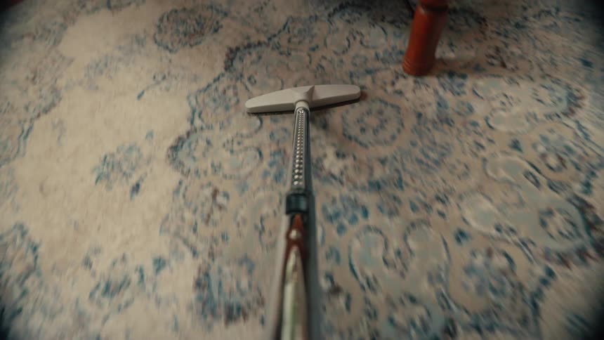 Point of view vacuuming large rug laying on hardwood floor