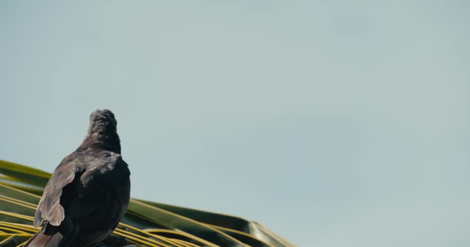 A bird is perched on the branch