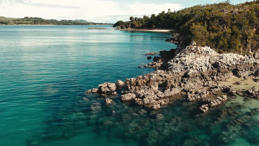 A rocky beach surrounded by trees