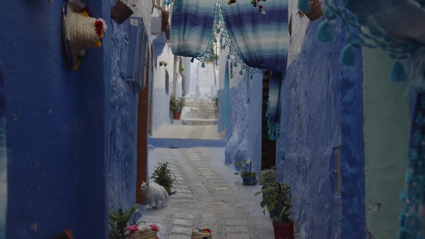 The chat sits in front of the doorway