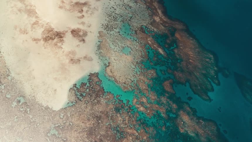 Aerial view of a colorful coral reef and sandy shore merging with the deep blue ocean in a tropical region