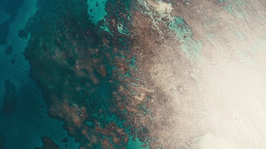 Aerial shot of a vibrant coral reef system along a coastline showing shallow turquoise waters and deeper ocean blues
