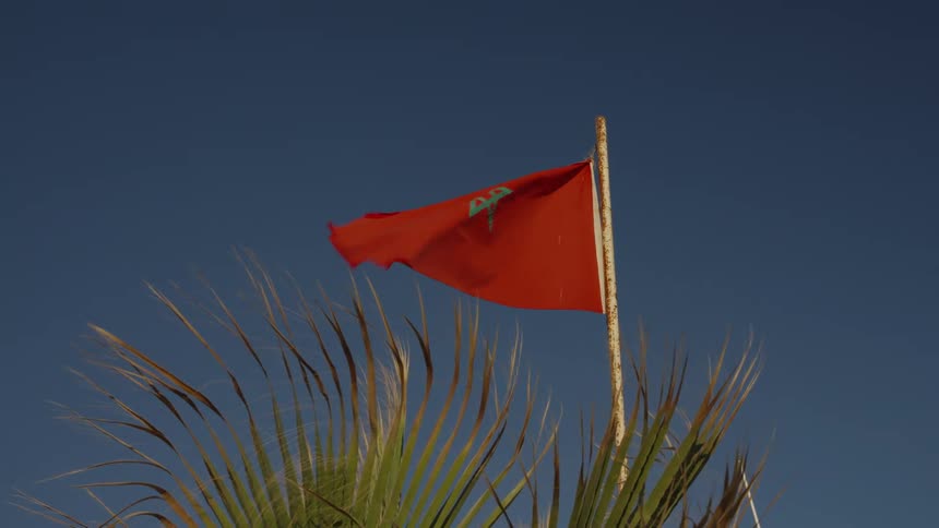 A red flag with a green star set against a deep blue sky is flapping energetically in the wind while below it thin blades of long grass match its movements waving in the wind as well