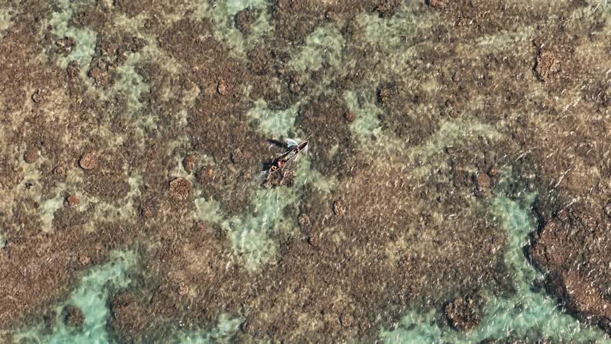 A small sailboat sailing on a body of water with several corals underneath