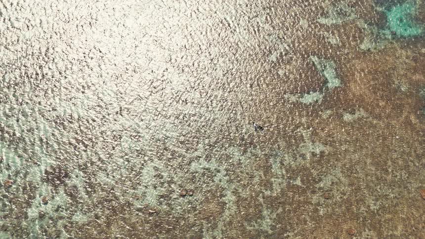 Aerial view of a boat floating over shallow sea waters and coral reefs