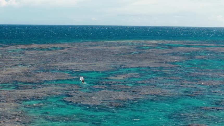 A person sailing a small boat on a calm sea