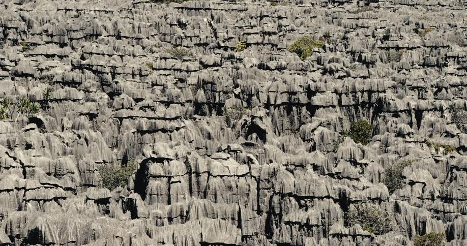 A mountain of irregularly shaped stones with some scattered plants