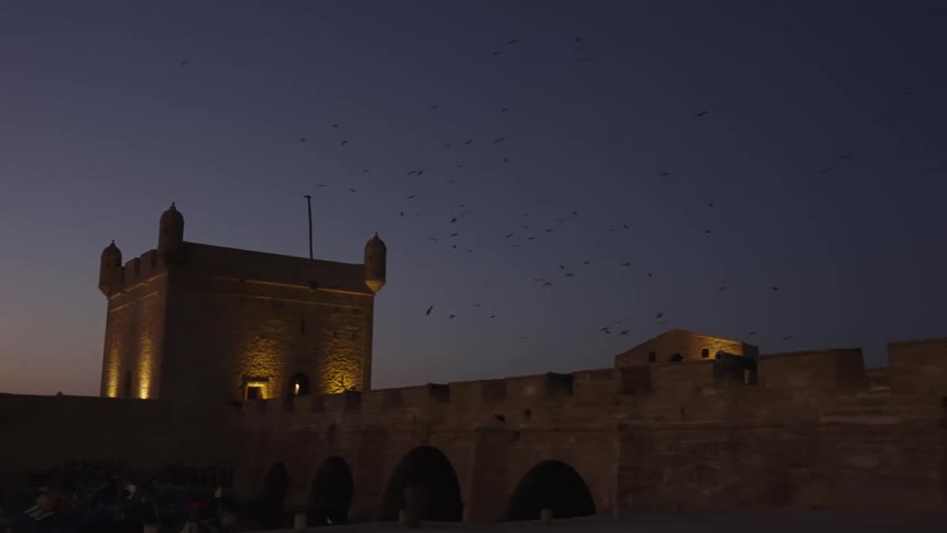 People watching birds migrate