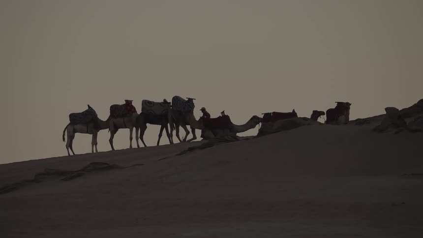 A man guides camels across a desert ridge at dawn or dusk silhouetted against the sky